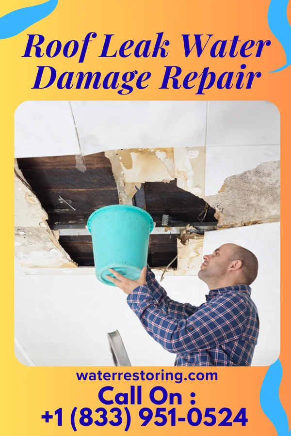 Roof Leak Water Damage Repair in Ohlman, IL